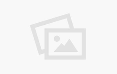 logo_in_slide